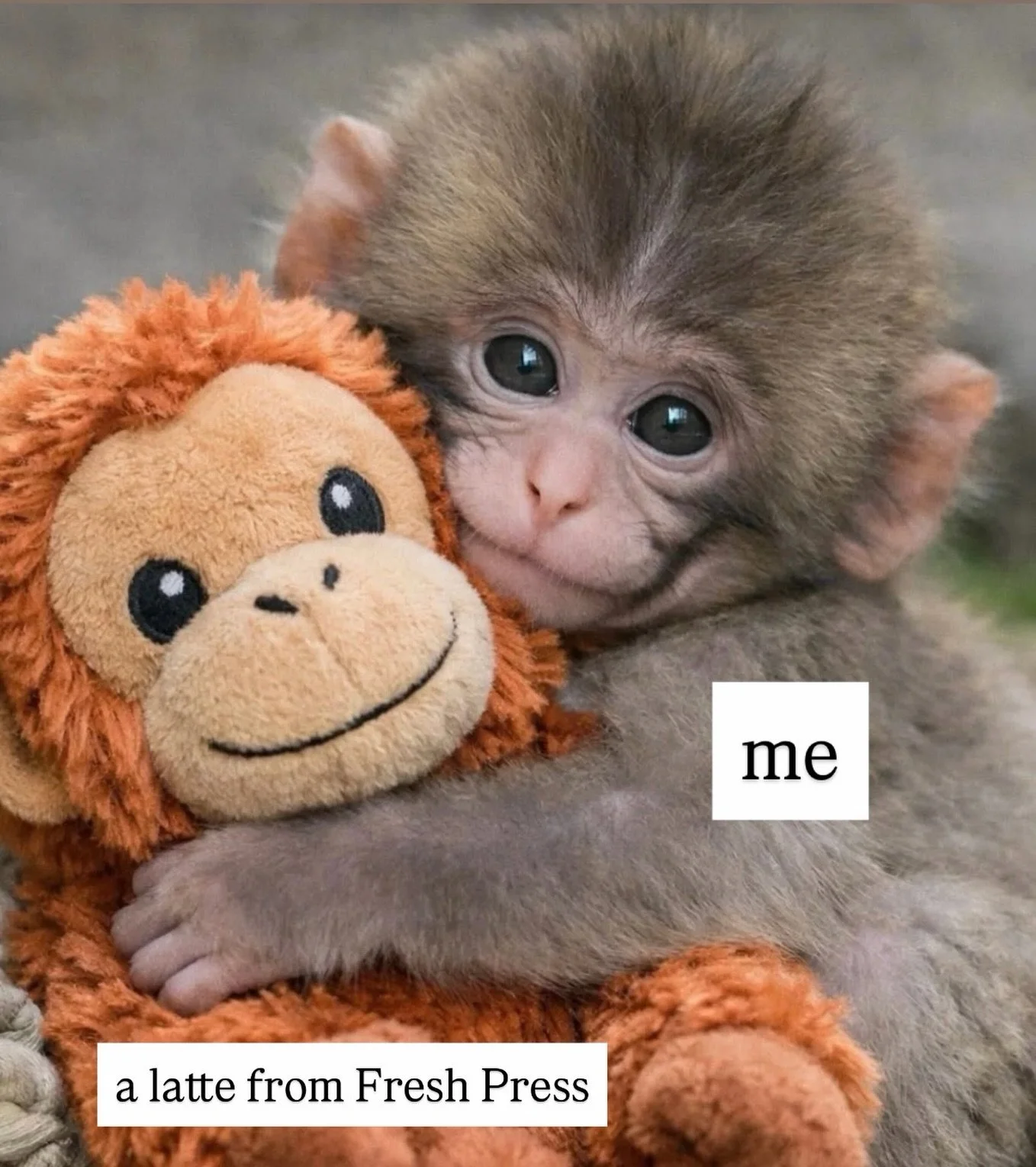 Our hearts do go out to that monkey tho 

#punch