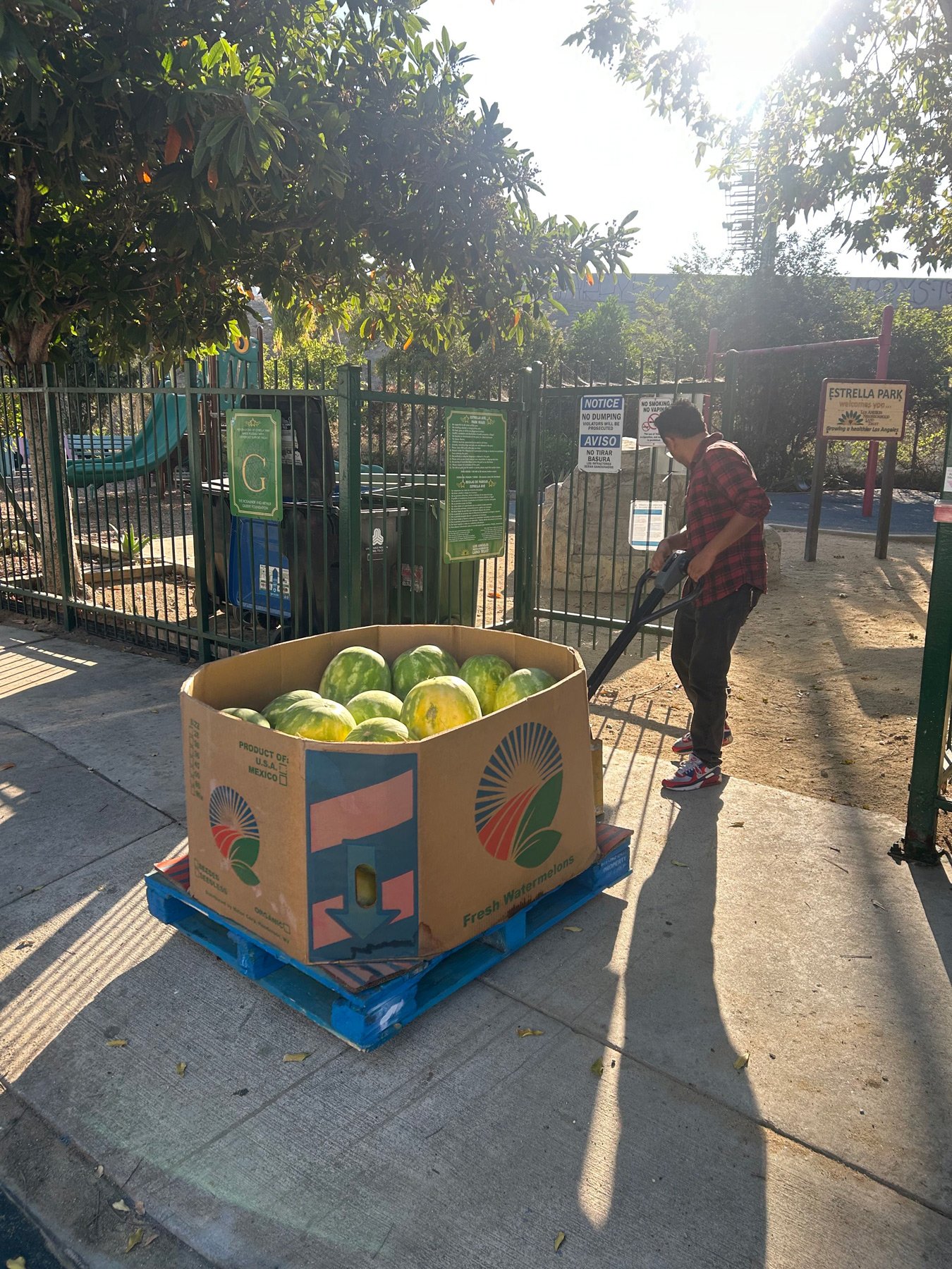 Photo of person wheeling a carton of watermelons into a park
