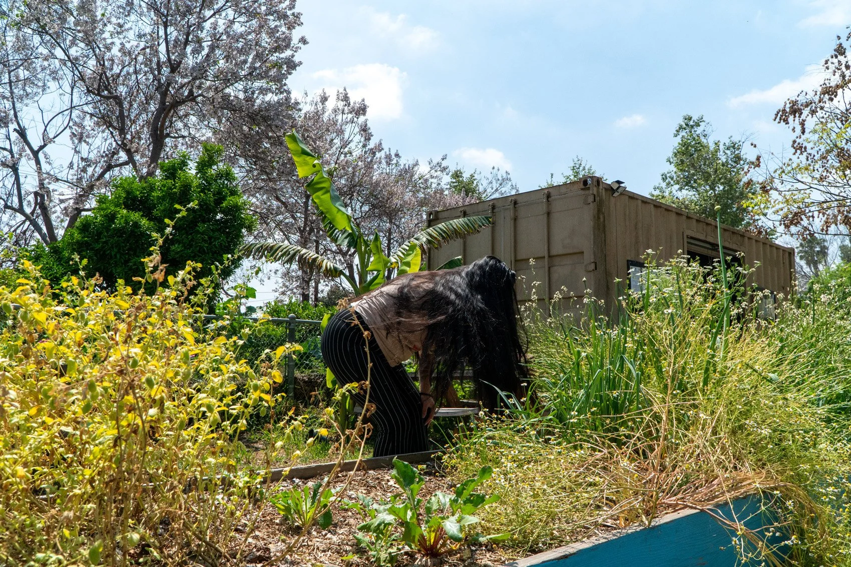 Photo of person working in the garden