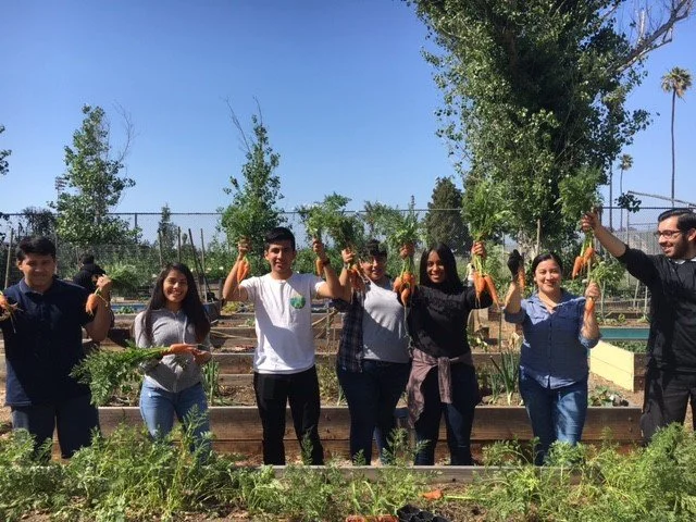 Garden Apprenticeship Program Relaunches in September