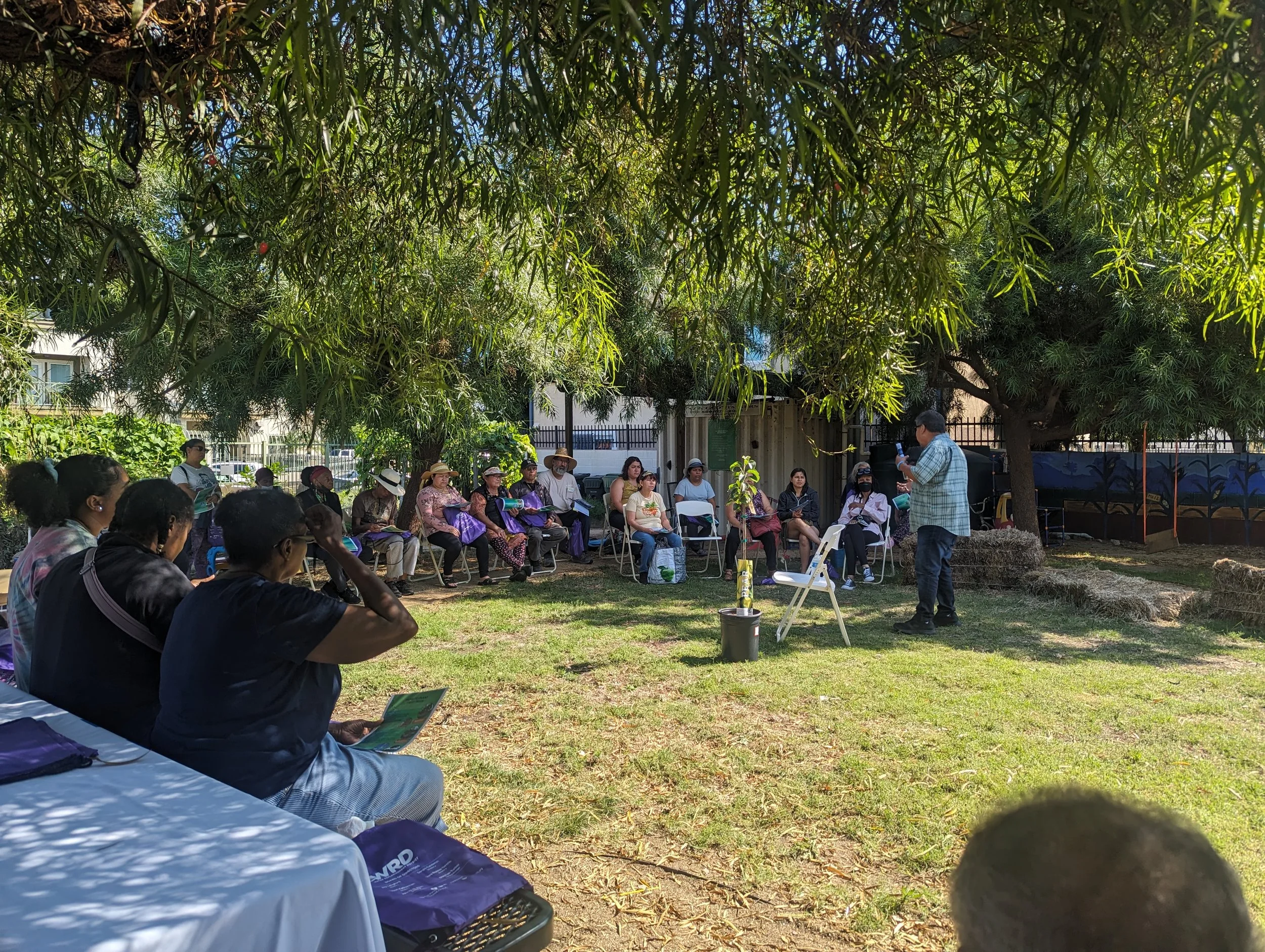 Benefits of Native Planting and a Citrus Tree Care Workshop