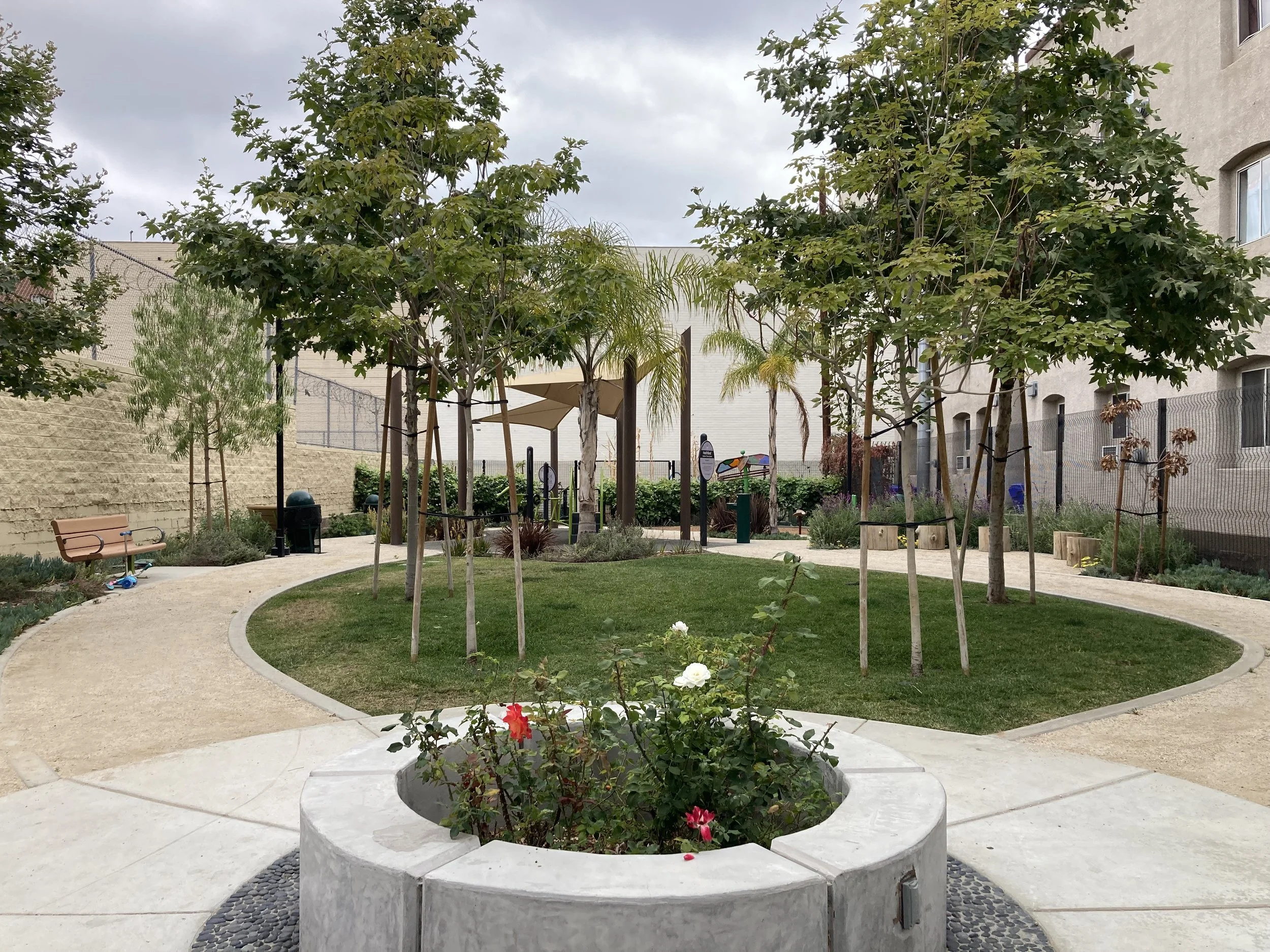 From Empty Lot to Community Hub