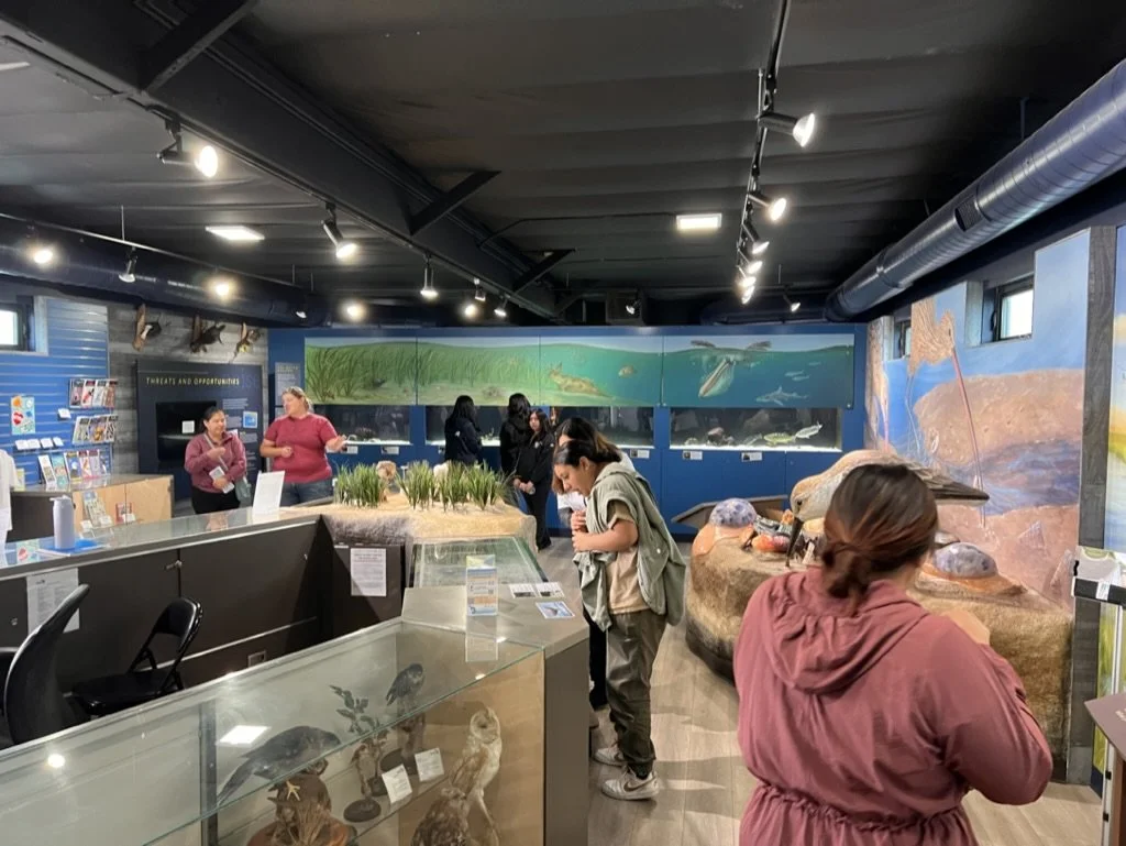Photo of people at the aquarium