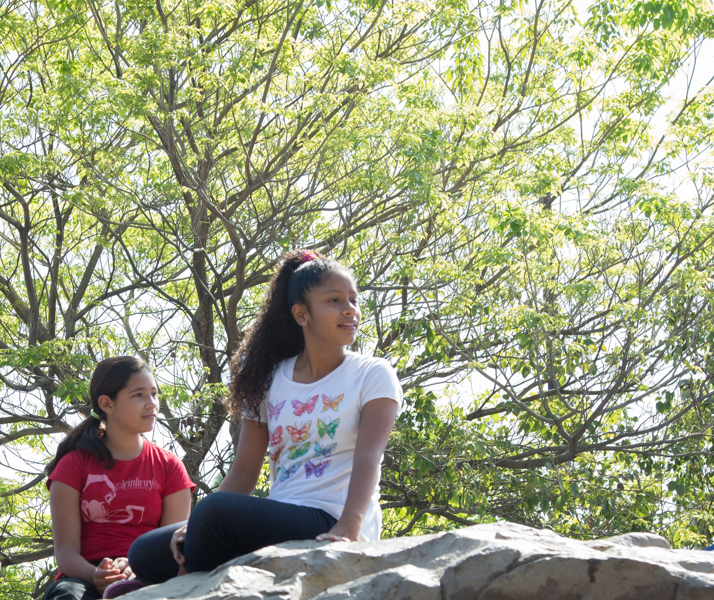 Our Need For Nature