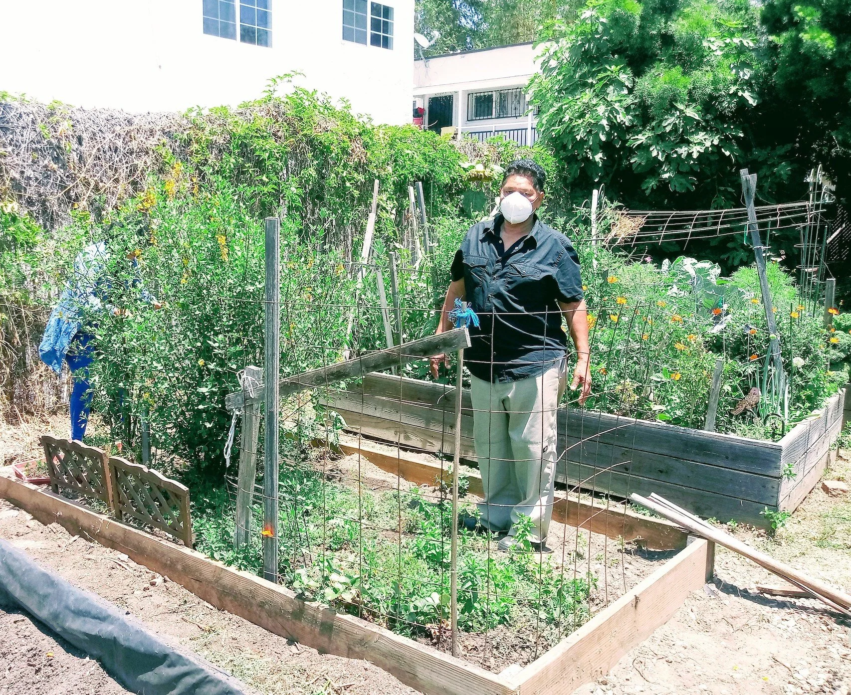 Glazer Community Garden - New Gardener June 2020.jpg