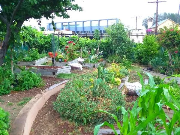 Community Garden at Unidad Park