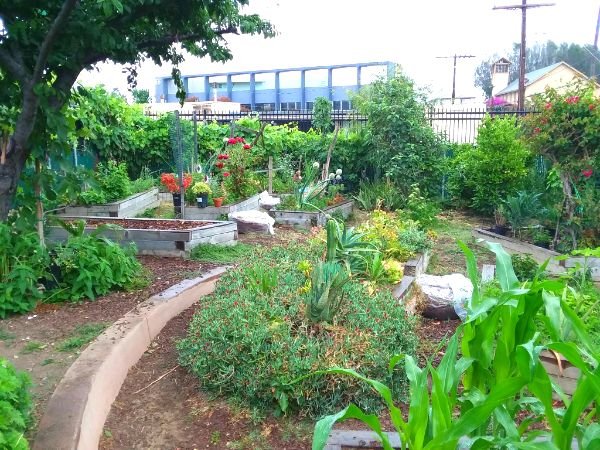 What Makes a Community Garden?