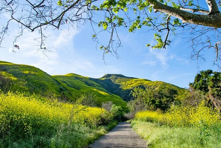 How Did Earth Day Get Its Start?