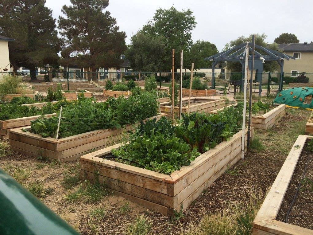 Cedar Ridge Little Green Fingers Garden