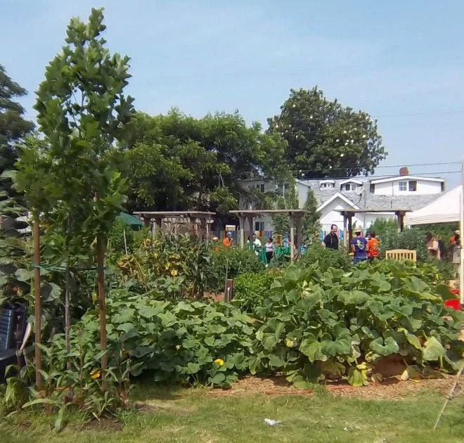 Eastmont Little Green Fingers Garden