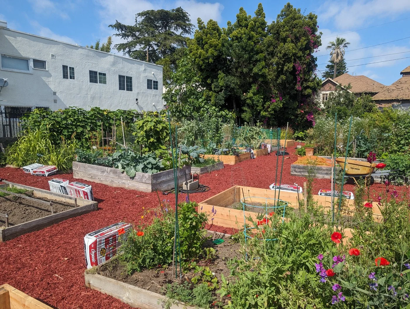 Erika J Glazer Community Garden