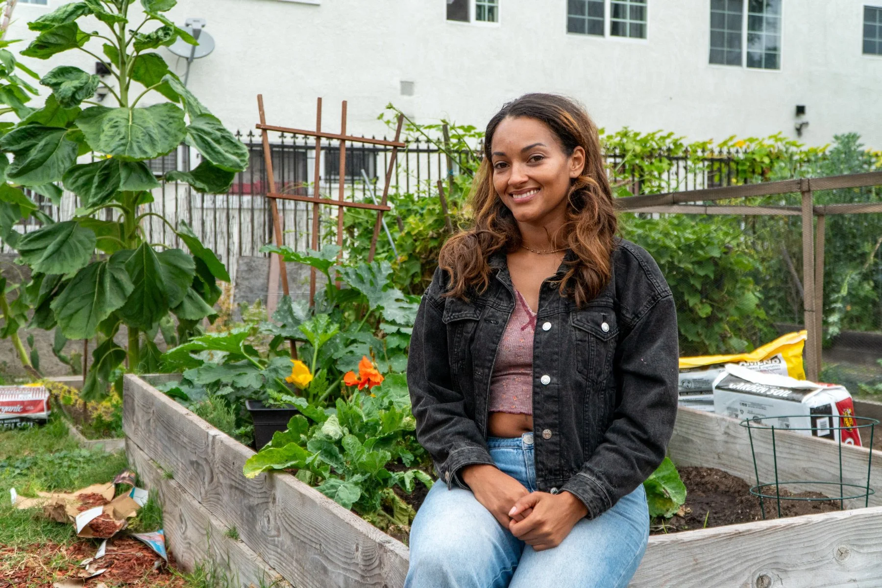 Lessons from the Plot