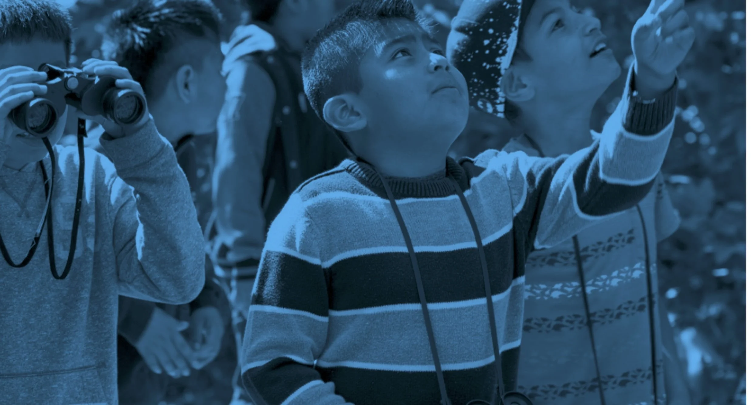 The Living Schoolyards Report