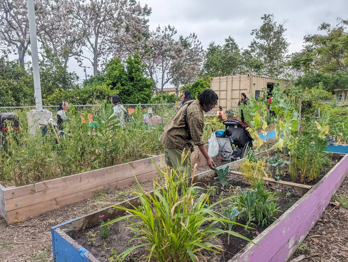 Fremont Community Garden and Wellness Center 