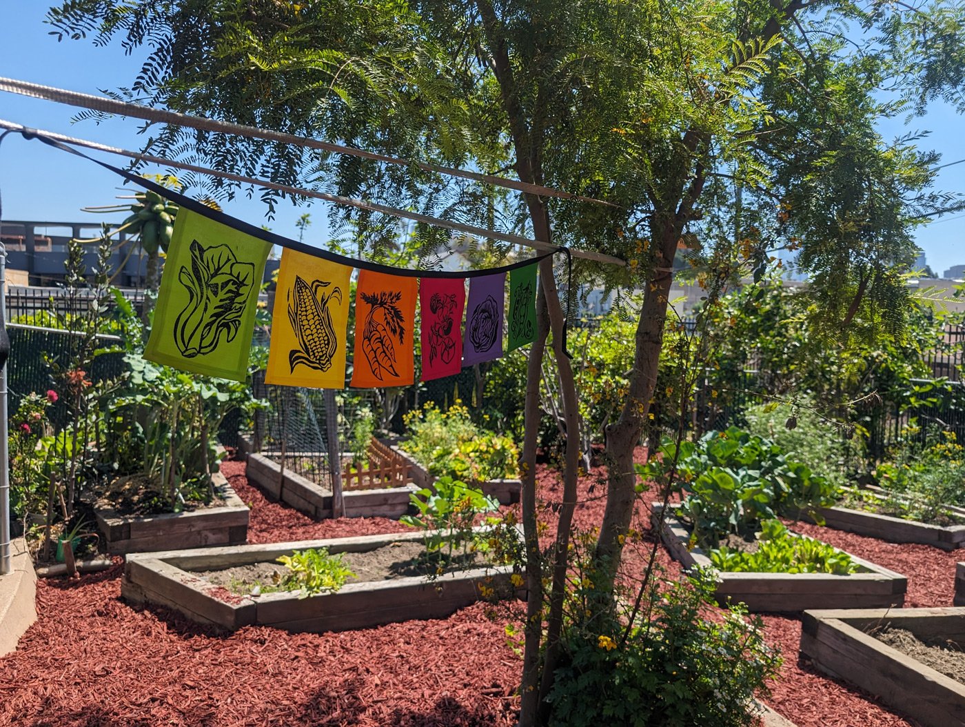 Unidad Park &amp; Community Garden