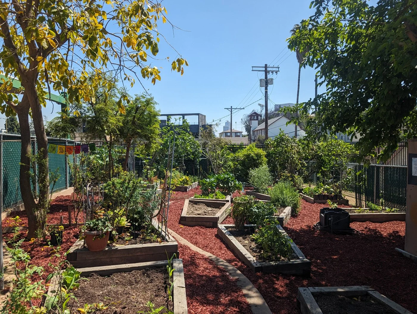 unidad-community-garden-03.jpg