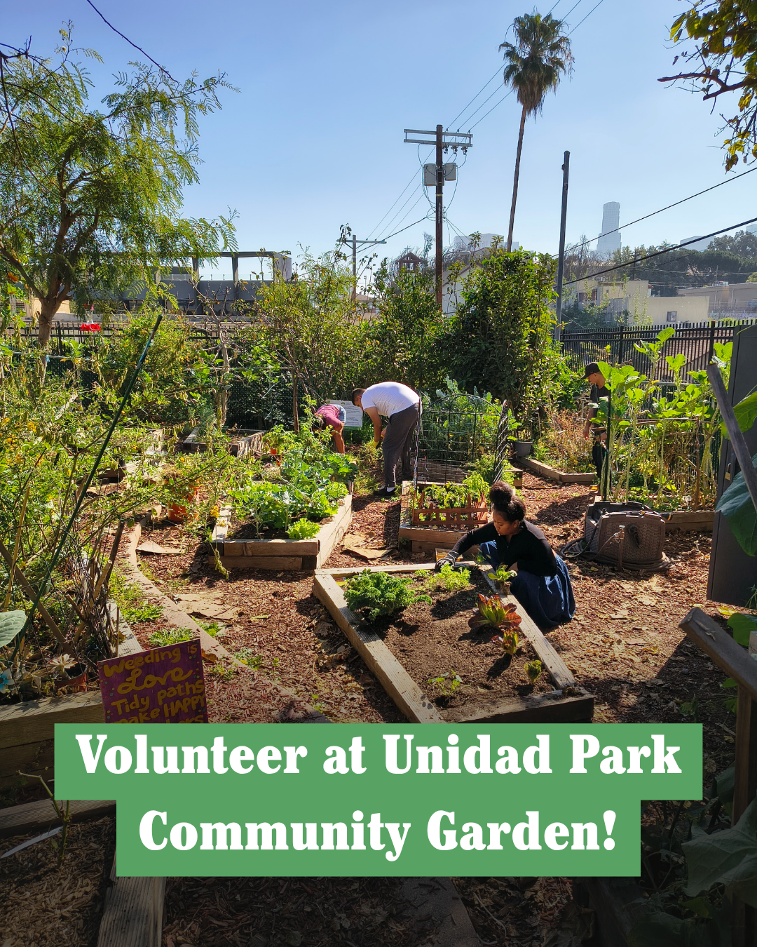 Unidad Park Community Garden Volunteer Day