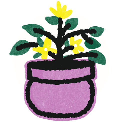 Illustration of plant with small flowers