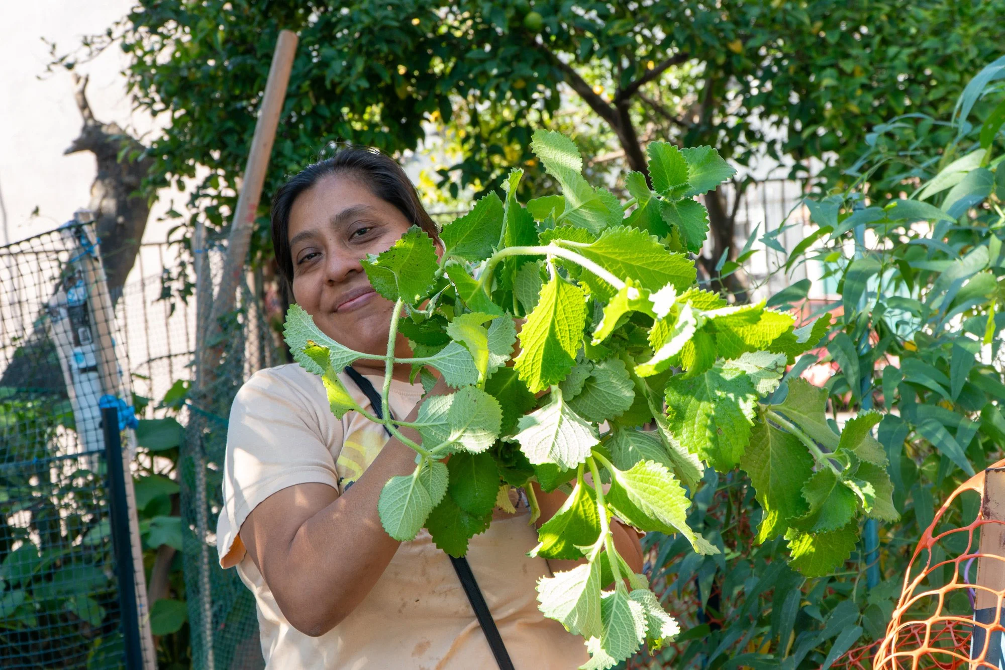 Photo of community member holding up plants from a garden
