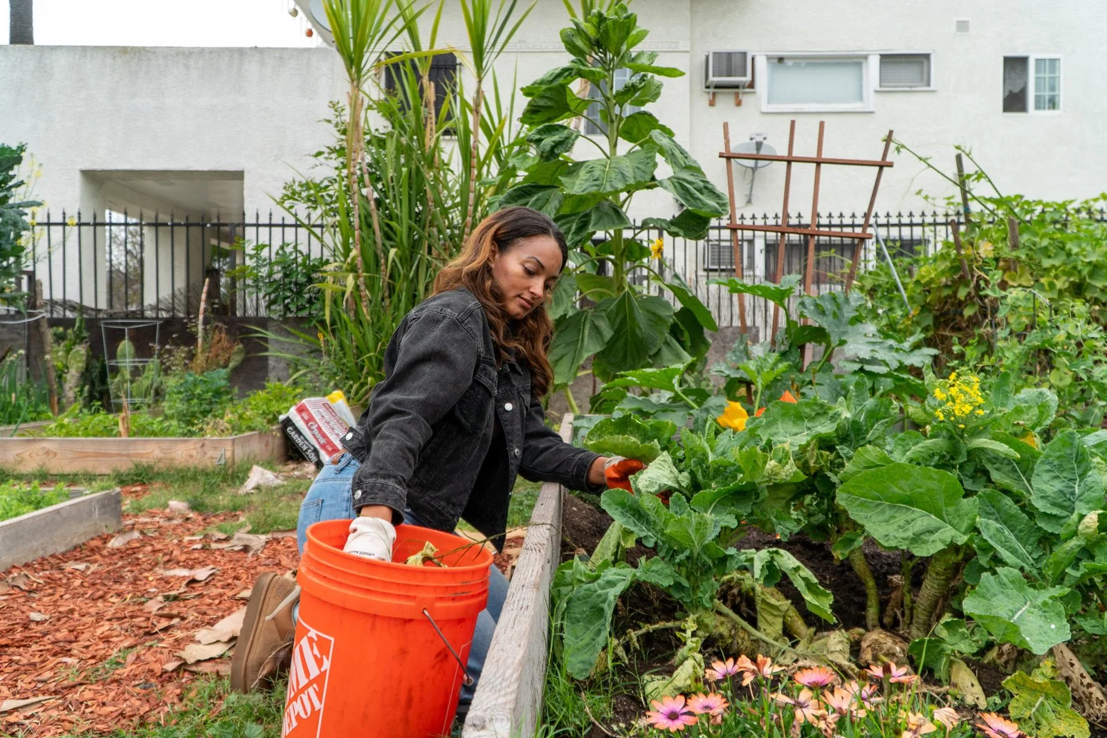 Photo of person working in the community garden
