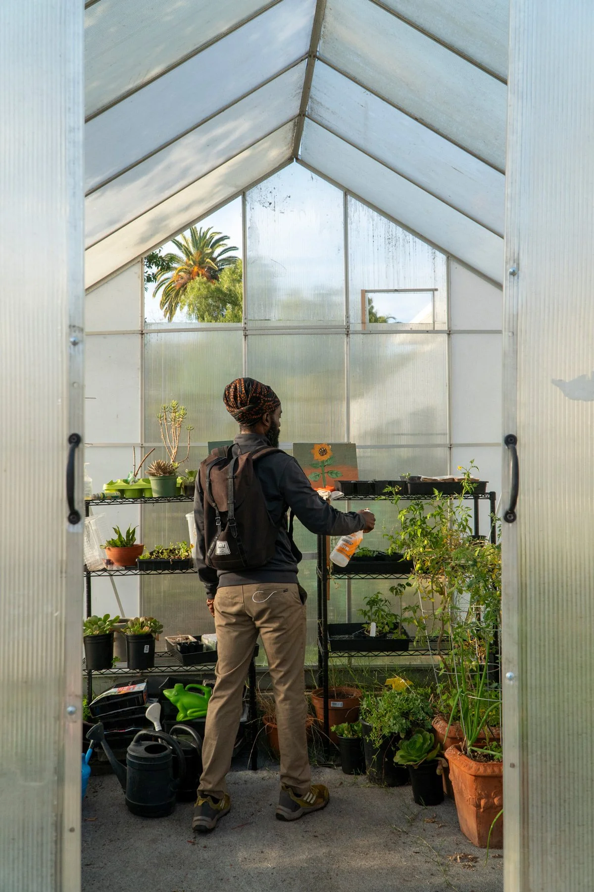Photo of Chef Korby spraying plants in a green house