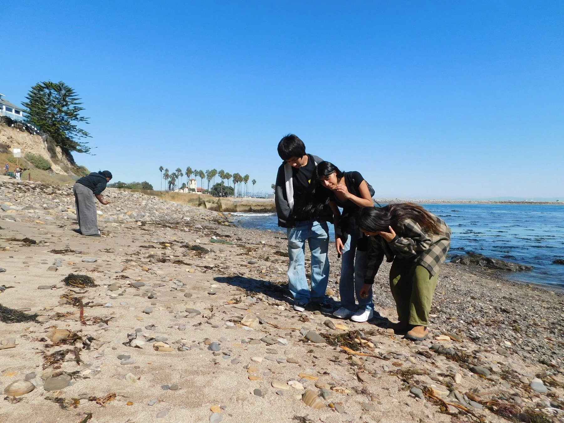 Photo of three young students looking at marine life at the beach