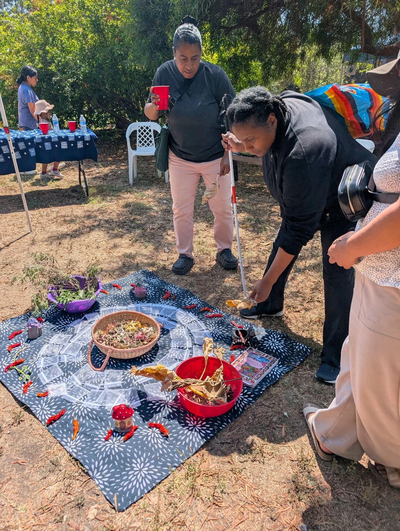 Photo of people around a blanket with baskets and bowls of herbs and flowers