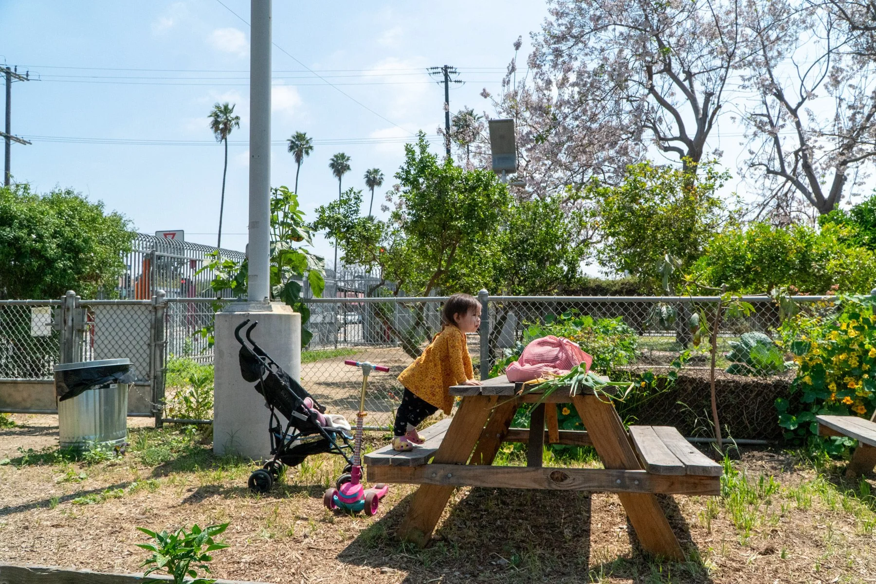 Photo of young kid standing on a picnic table bench in the garden