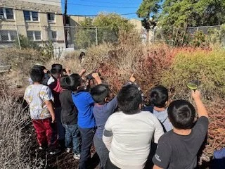 Photo of kids in garden pointing up