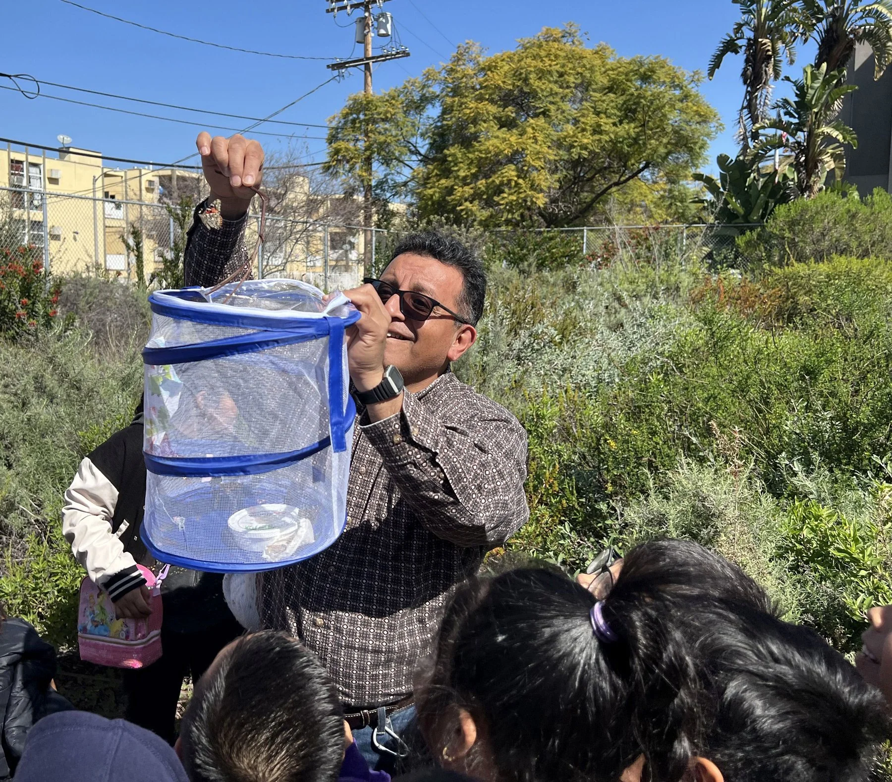 Photo of teacher releasing butterflies from container with students watching.