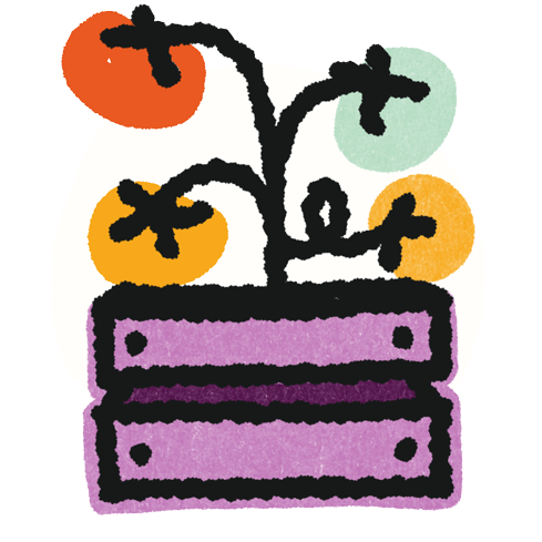 Illustration of full grown tomato plant