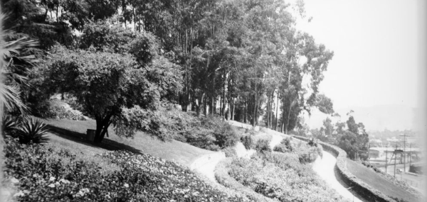 Elysian Park hillside in early 1900s. Denver Public Library.