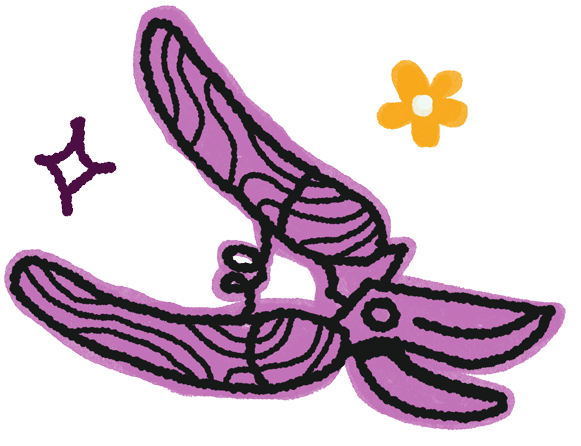 Illustration of garden shears