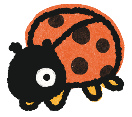 Illustration of a ladybug