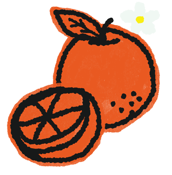 Illustration of orange and flower