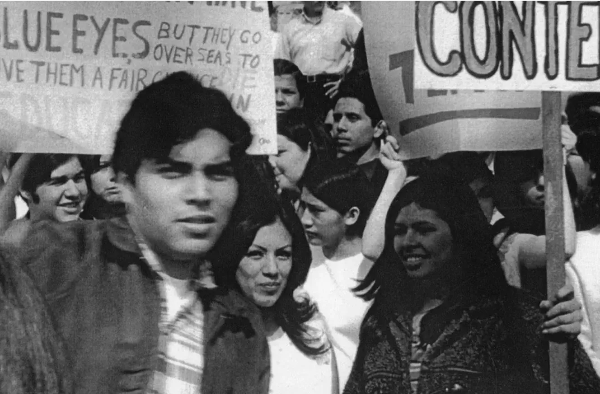 Photo of students holding up protest signs