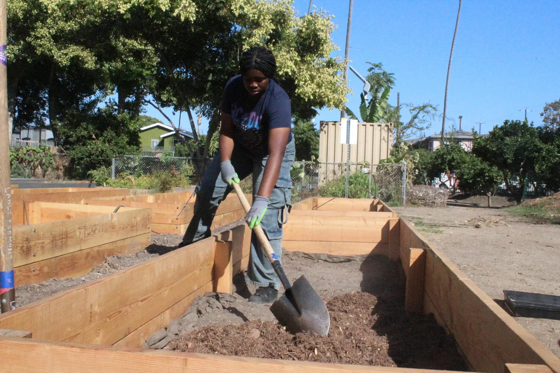 Photo of young person spreading soil in a garden bed