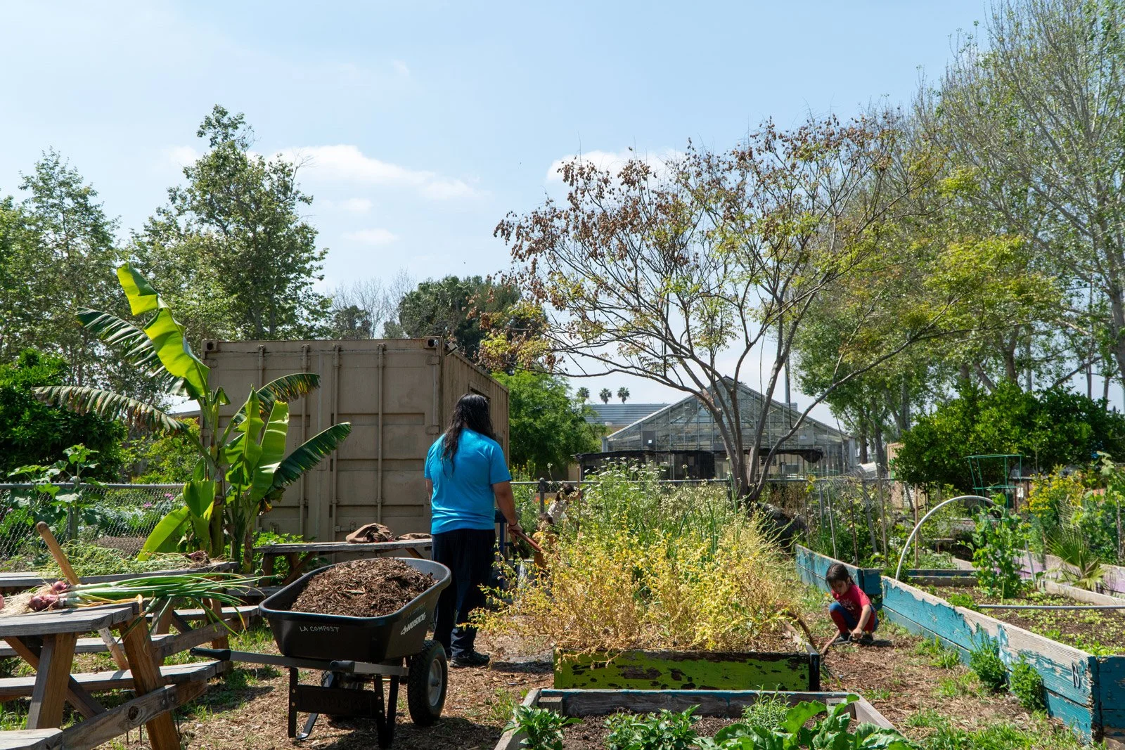 Photo of parent and child working in different parts of the garden
