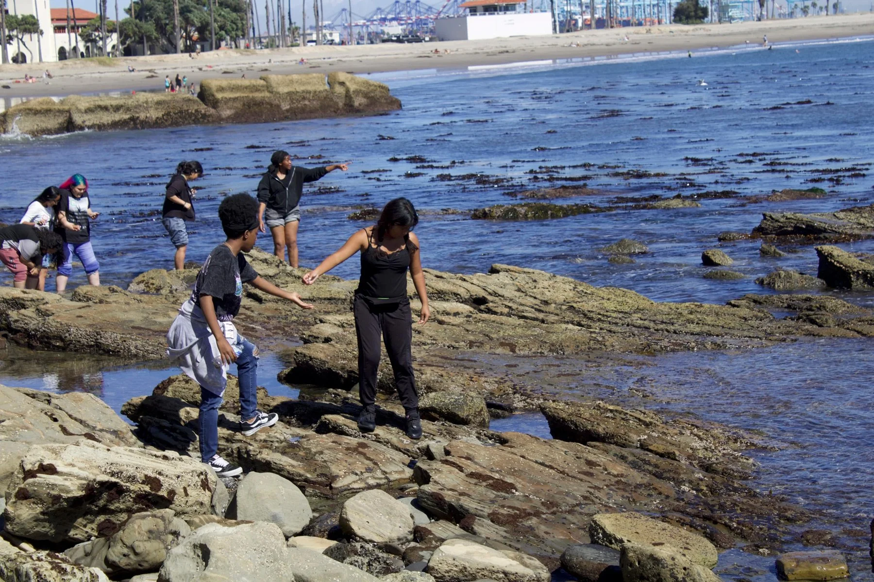 Photo of young people exploring tide pools