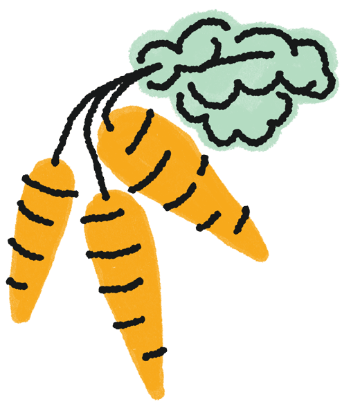 Illustration of a bunch of carrots