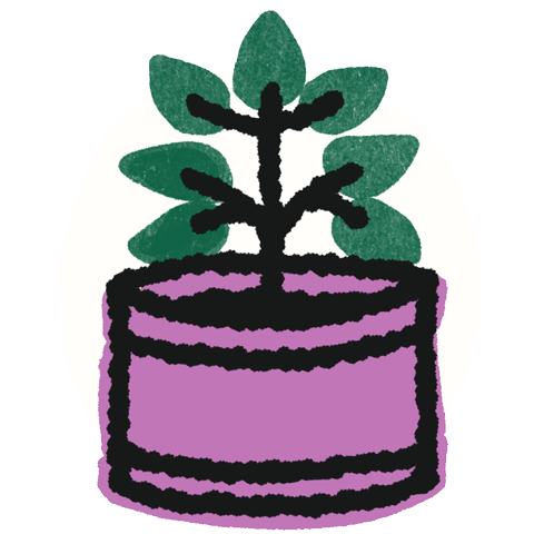 Illustration of plant in a pot with multiple leaves