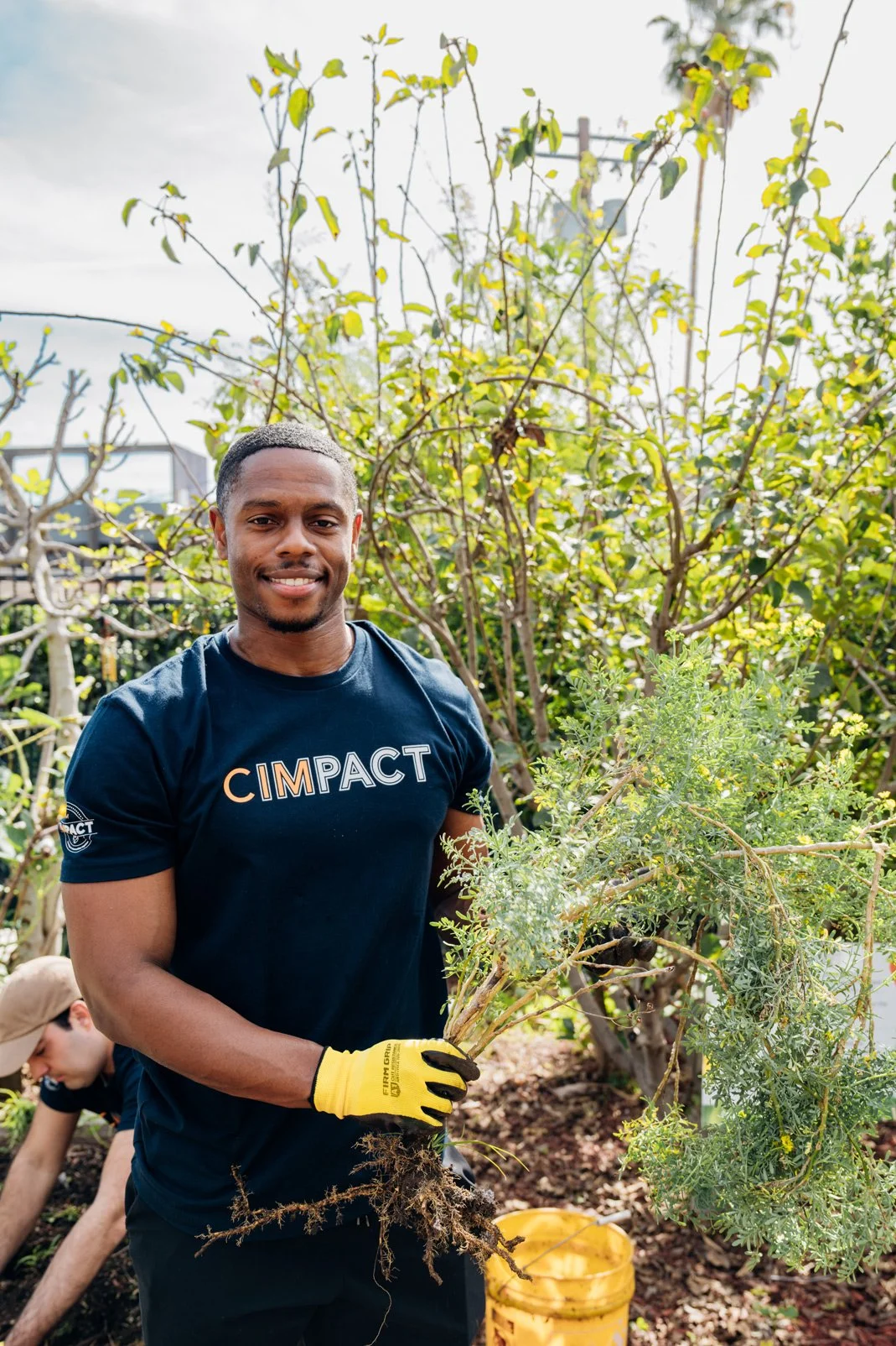 Photo of person wearing CIMPACT shirt while holding plant with garden gloves