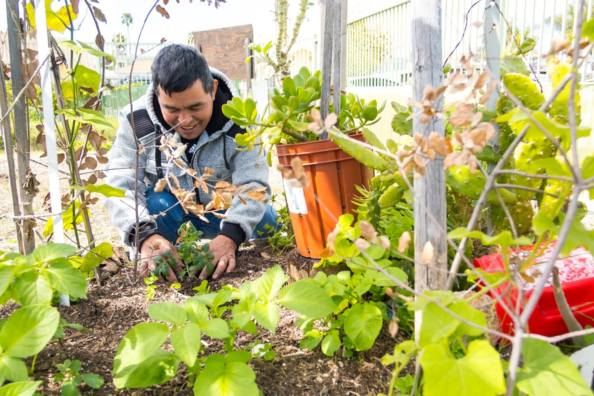 Photo of person planting at the West Athens Community Garden