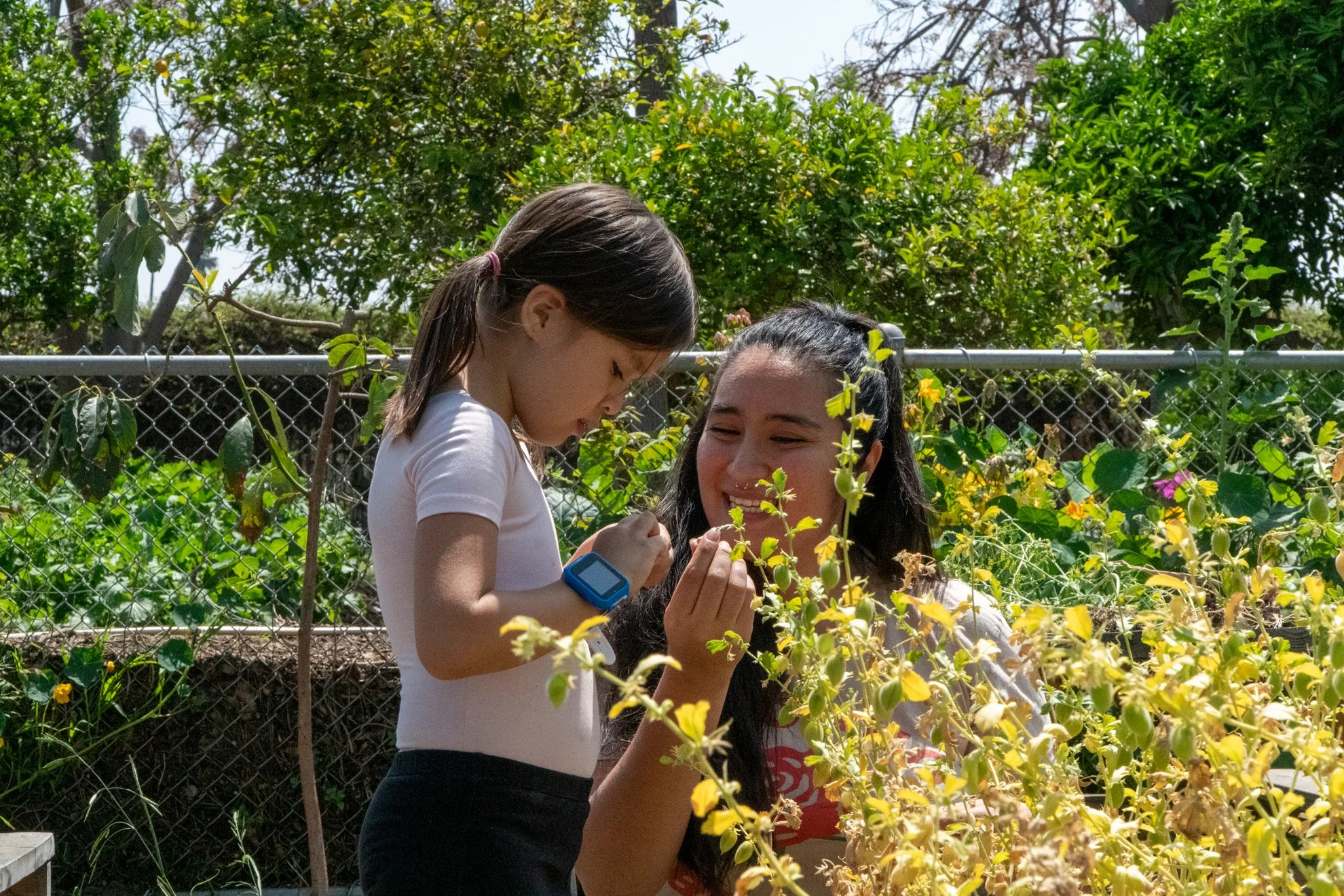 Photo of parent and child looking at flowers together