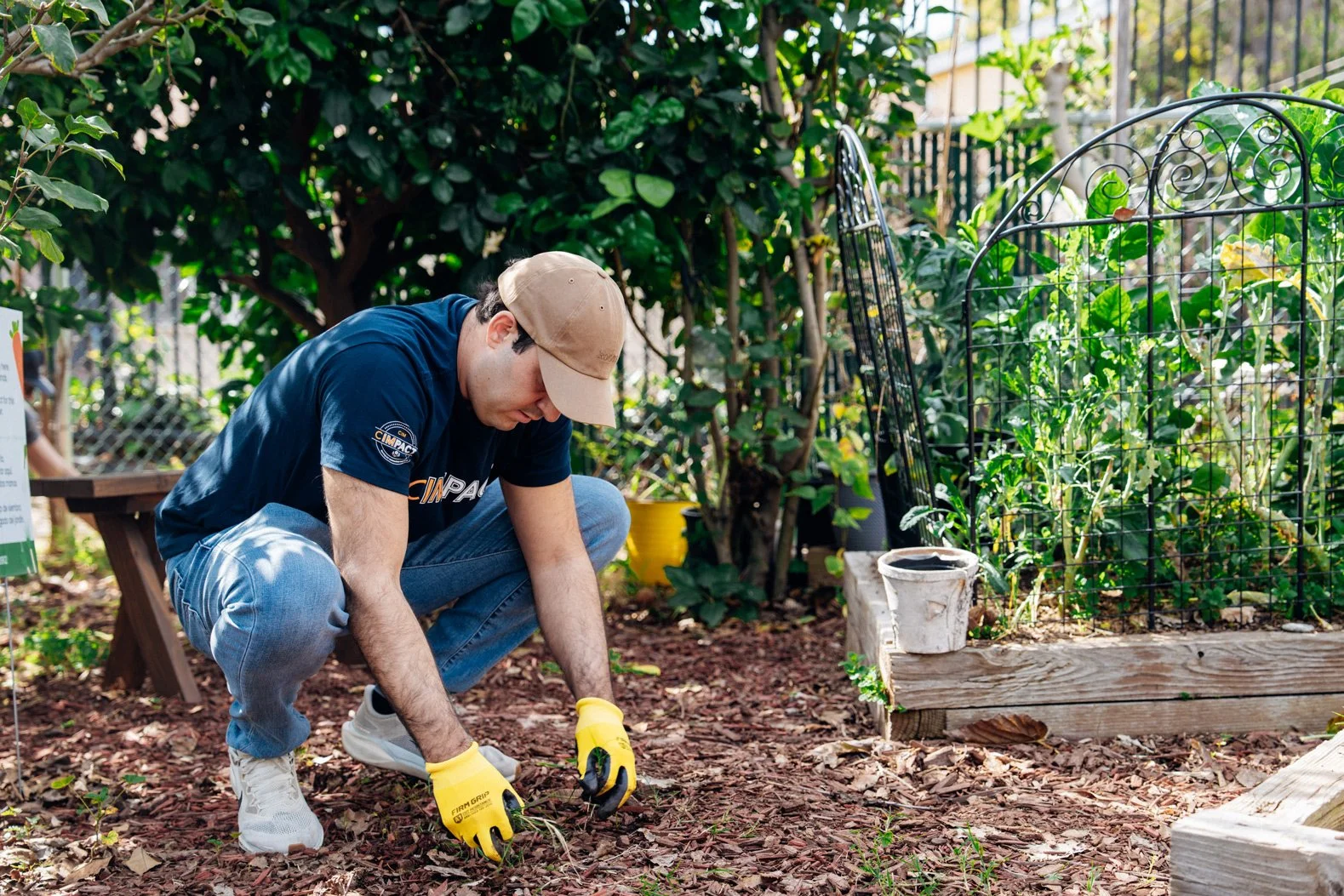 A Company Volunteer Day in Unidad Park