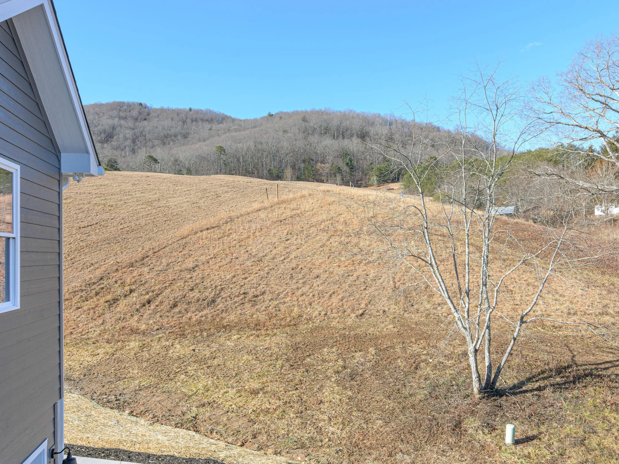 A sloped backyard with brown grass, a barren tree, and neighboring hills with leafless trees, near a gray house under a clear blue sky.