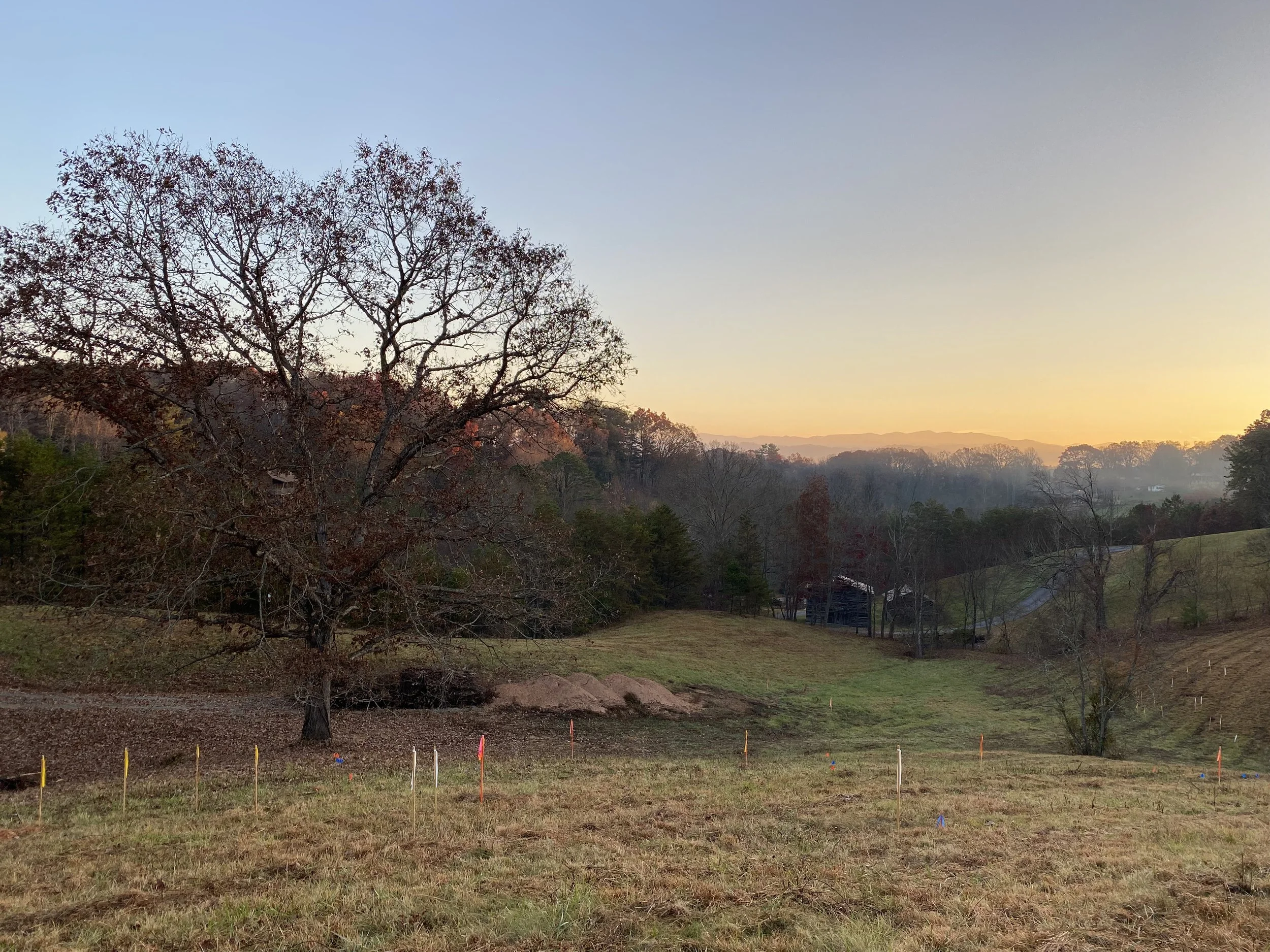 Flags for a possible home location on the knoll, with perfect placement for the oak tree and long range views 