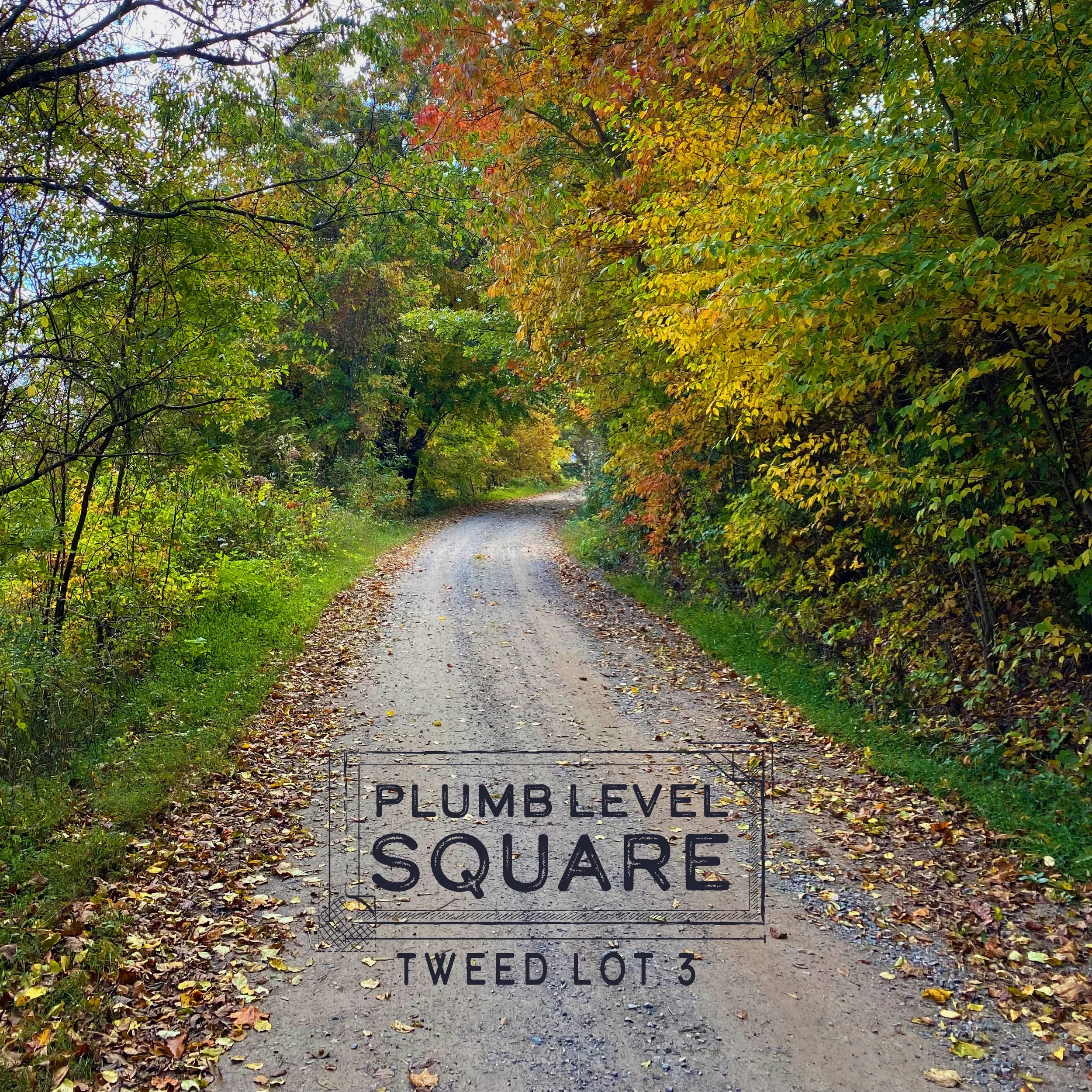 Fall colors driving down the gravel road into the property