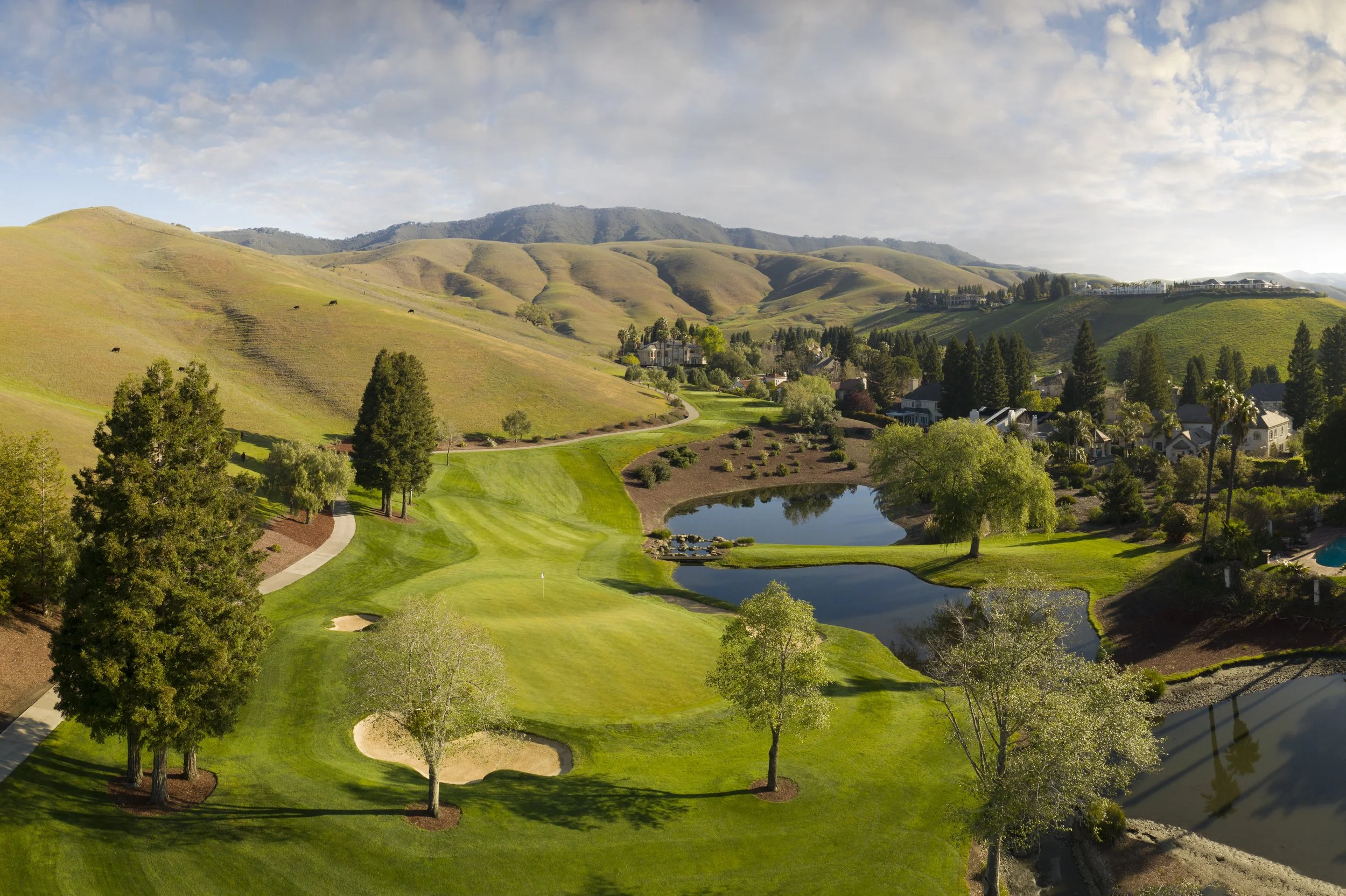 2025 WGC Year End Standings