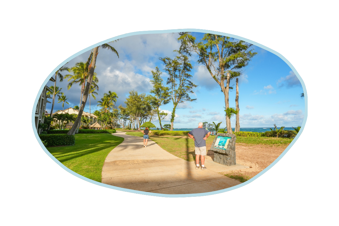 Visitors in kapa'a